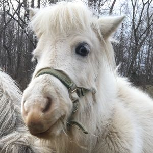 Meet your Posher, April